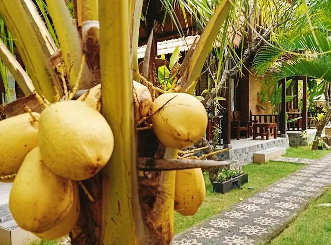 Exotic View